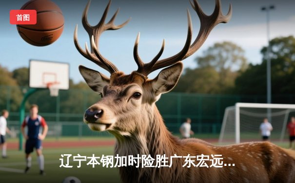 辽宁本钢加时险胜广东宏远 CBA半决赛上演史诗级对决